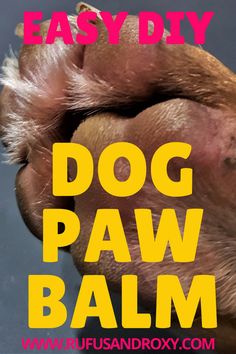 a dog's paw with the words easy diy dog paw balm on it