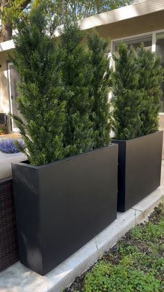 two large black planters sitting next to each other on the side of a house