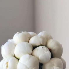 a white vase filled with lots of white flowers