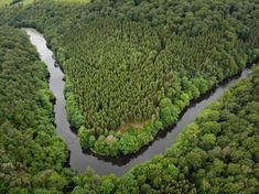 an aerial view of a river surrounded by trees