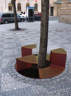 a bench under a tree on a city street