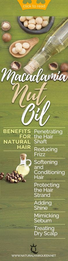 Benefits of Macadamia Nut Oil for your Natural Hair | Natural Hair | Natural Hair Tips | Natural Hair Detangler | Natural Hair Shrinkage | 3c4a Natural Hair | Cowash Natural Hair | Stretching Natural Hair | Natural Hair Growth | Wavy Natural Hair | Pretty Natural Hair | Natural Hair Inspiration | Natural Hair Ideas | Styling Natural Hair | Healthy Natural Hair | Keeping Natural Hair Moisturized | Natural Hair Hacks | Tips for Natural Hair #healthyhair #hairtips #naturalhair #hairmasks Cowash Natural Hair, 3c4a Natural Hair, Natural Hair Stretching, Stretching Natural Hair, Hair Inspiration Natural, Natural Hair Shrinkage, Hair Stretching, Afro Quote, Natural Hair Detangler