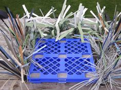 a blue crate sitting on top of a wooden table next to grass and plants in it