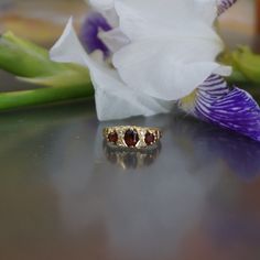 Antique style garnet & diamond ring, garnet 9kt gold ring, trilogy garnet and diamond ring, Gift for her, January birthstone, G81 Ring crafted in 9kt gold, marked 375, anchor for Birmingham and Maker GA Has 3 garners and 4 little  diamonds 1- garnet is 5x4 mm and 2 x2,8 mm diameter The gallery is 14,4x6,4mm and above the finger 3,2mm with decorated shoulders The band is 1,4 mm  total weight is 1,74 gram The ring is size US 4,3/4 US or10UK Birthstone: January. Those born in January are lucky to h Heirloom Ruby Three Stone Promise Ring, Heirloom Three Stone Ruby Promise Ring, Promise Ring With Hallmarked Garnet Birthstone, Victorian Style Three Stone Ruby Ring As Gift, Formal Three Stone Garnet Rings, Luxury Garnet Birthstone Ring, Garnet Rings With Intricate Design For Gift, Yellow Gold Garnet Ring With Rose Cut Diamonds, Formal Three-stone Garnet Rings