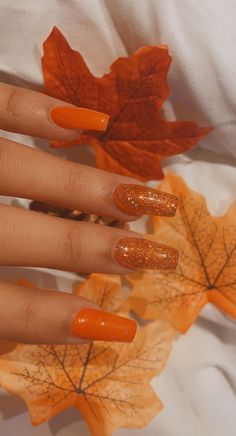 IG: annnabellexo | Fall Nails Burnt Orange Sparkle 🍂✨🍁 | Acrylic Autumn Nails | #autumnnails #autumnvibes #fallnails #orangenailpolish #orange #acrylicnaildesigns #acrylicnailscoffin #coffinnails #halloweennails #fallnailart #nailideas #nailinspiration #september #nailsonfleek #nailsideas #pumpkin #pumpkinspice #autumnleaves #pumpkins Orange Fall Nails Almond Shape, September Nails Sparkle, Burnt Orange Nails With Glitter, Fall Acrylic Nails Autumn Coffin Simple, Burnt Orange Sparkle Nails, Sparkly Burnt Orange Nails, Orange Nails Sparkle, Simple September Nails, Burnt Orange Ombre Nails