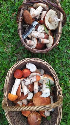 two baskets filled with mushrooms sitting on top of a grass covered field next to each other