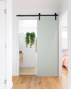 an open door leading to a bedroom with white walls and wood floors, along with a potted plant on the wall