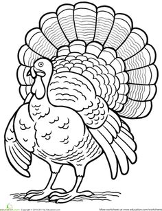 a black and white drawing of a turkey