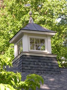 a small white window on top of a gray shingled roof with trees in the background