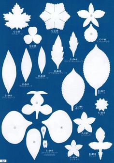 an image of various leaves and flowers in white on blue background with japanese characters below