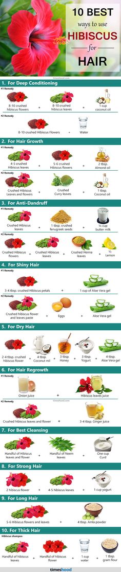 Hibiscus Hair Mask, Hibiscus Hair, Hair Mask Diy, Hair Care Recipes, Natural Face Skin Care