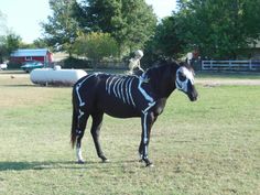 a horse with skeleton paint on it's face and tail standing in the grass