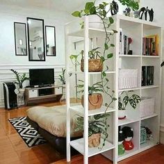 a white bookcase with plants on it in a living room