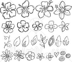 various flowers and leaves drawn in black ink on white paper stock photo - image 3797