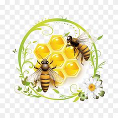 two bees sitting on top of honeycombs with flowers around them