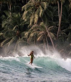 a woman riding a surfboard on top of a wave in front of palm trees