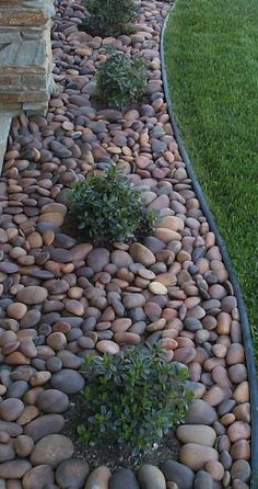 there is a long line of rocks in the grass