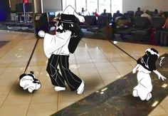 two black and white dogs are playing with each other on the floor in an airport lobby