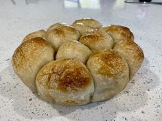 a bunch of doughnuts sitting on top of a counter