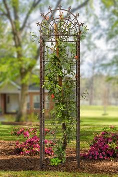 H Potter brand metal garden obelisk outdoors with flower and plants backyard lawn decor Wrought Iron Trellis, Large Trellis, Metal Garden Trellis, Obelisk Trellis, Iron Trellis, Flower Trellis, Plant Structure, Metal Trellis, Garden Obelisk