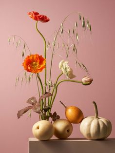 a vase filled with flowers and fruit on top of a table next to a pink wall