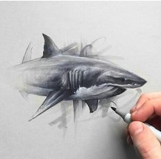 a drawing of a shark with sharp teeth on a piece of paper, in the process of being drawn