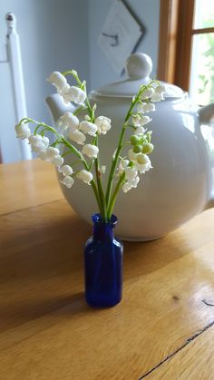 a blue vase filled with white flowers sitting on top of a wooden table next to a teapot