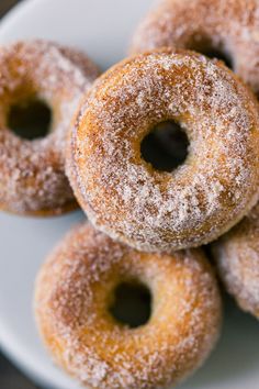 several sugared donuts on a white plate