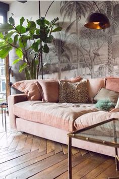 a living room with pink couches and pillows on top of the couch is next to a potted plant