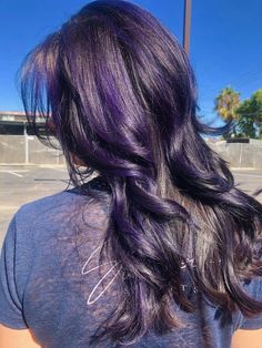 Dark Purple In Brown Hair, Violet Highlights On Black Hair, Subtle Purple Hair Brunettes, Blue Purple Black Hair, Purple Dye On Brown Hair No Bleach, Dark Purple Highlights Brown Hair, Dark Purple And Black Hair, Blackish Purple Hair, Black Hair With Purple Streaks