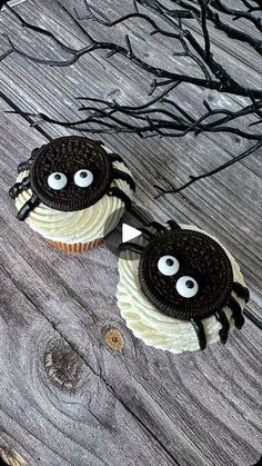 two cupcakes with eyes and spider on them