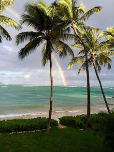 two palm trees on the beach with a rainbow in the sky above them and water below