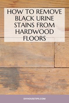 Say goodbye to pesky black urine stains on your hardwood floors with these easy tips and tricks! 😊✨ Learn how to restore your floors to their former glory and keep them looking beautiful for years to come. Say hello to spotless floors and happy feet! 🏡  #HardwoodFloorCare #DIYHomeImprovement #FloorStainRemoval How To Refinish Hardwood Floors, Spotless Floors, Cleaning Hardwood Floors, Remove Pet Stains, Refinish Wood Floors, Diy Wood Floors