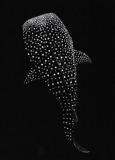 a black and white photo of an elephant's head with dots on it, in the dark