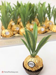 there are some chocolates in the shape of pineapples