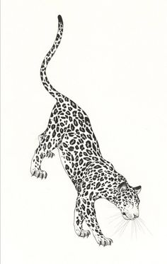 a black and white drawing of a cheetah walking on its hind legs with it's tail up