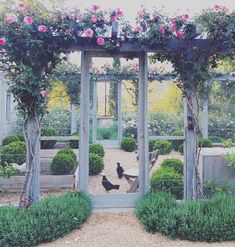 an outdoor garden with pink flowers and greenery