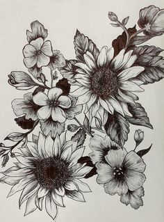 black and white drawing of sunflowers with leaves on the bottom right hand side