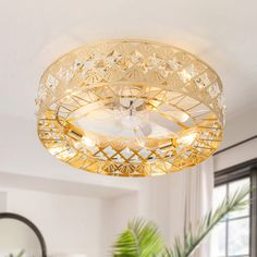 a ceiling light that is hanging from the ceiling in a room with a potted plant