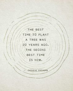 the best time to plant a tree was 20 years ago the second best time is now