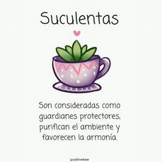 a poster with the words succulentas in spanish and an image of a coffee cup