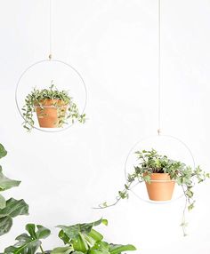 three hanging planters with plants in them on a white wall next to a potted plant