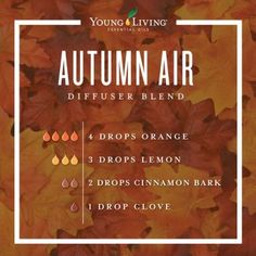 AutumnAir Fall Essential Oil Blends, Fall Diffuser Blends, Helichrysum Essential Oil, Essential Oils For Babies, Diy Essential Oil Recipes