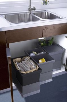 a kitchen sink with two bins under it