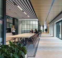 people are sitting at tables in an open area with large windows and plants on the floor