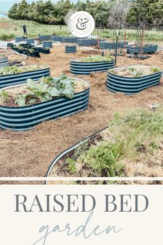 raised bed garden with text overlay reading raised bed garden