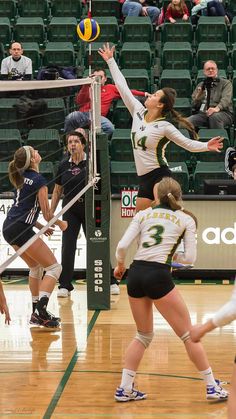 a group of women playing volleyball on a court