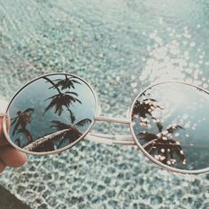 the reflection of palm trees in round sunglasses