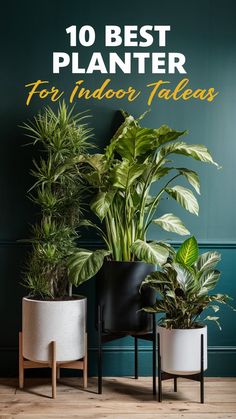 three potted plants with the words 10 best planter for indoor tables in front of them