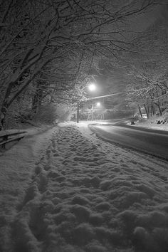 a snowy street at night with lights on and trees in the foreground covered in snow